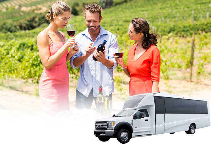 Wine Tours & Tastings in Sonoma limo service