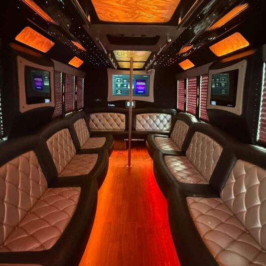 20 passenger party bus interior