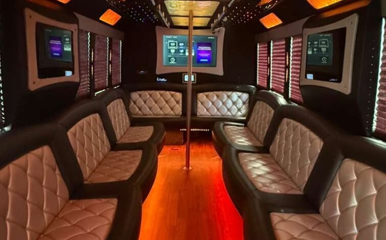 20 passenger party bus interior