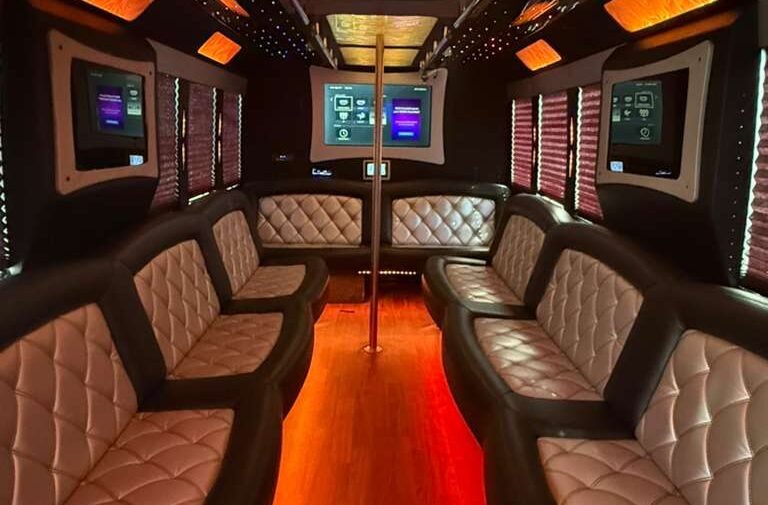 20 passenger party bus interior