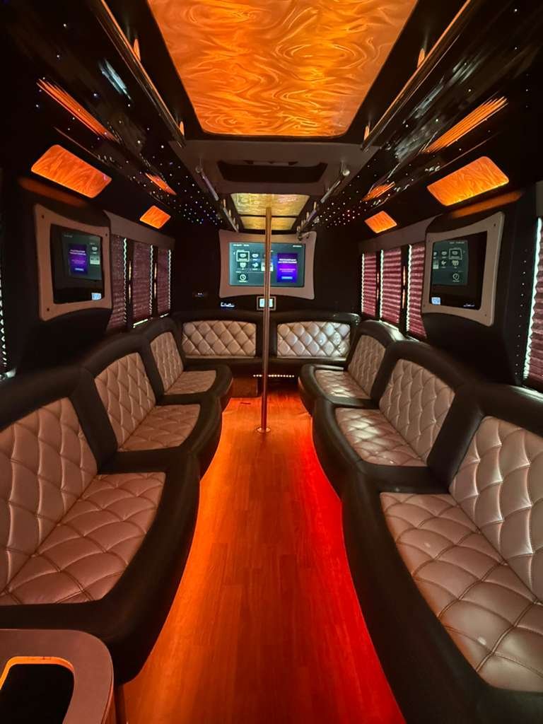 20 passenger party bus interior
