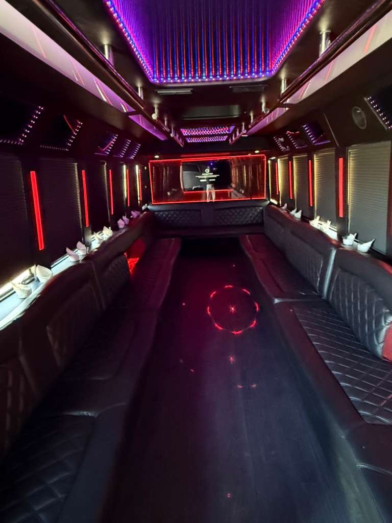 30-40 Passenger Party Buses Bay area (2)