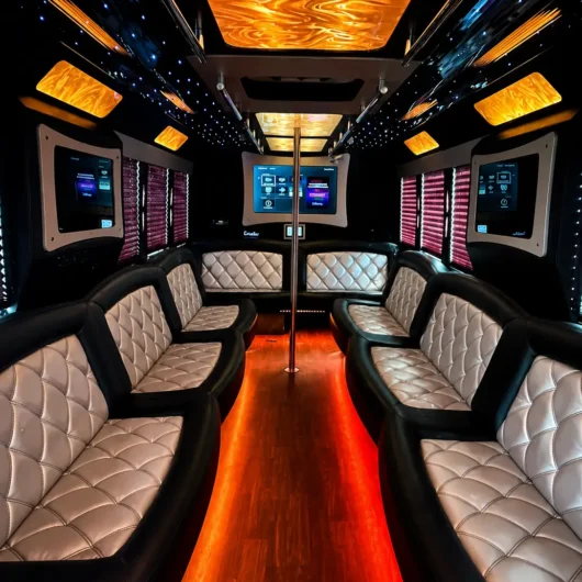 20-Passenger-Party-Bus-interior (3)