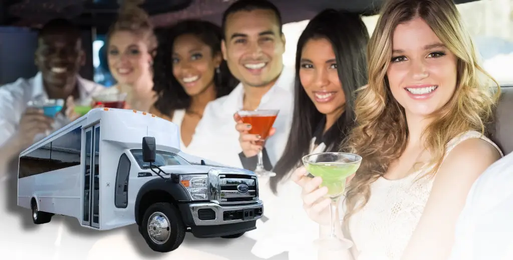 dublin party bus service